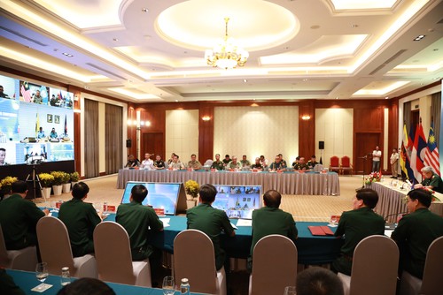 Conferencia en línea sobre el combate contra el covid-19 de Asean - ảnh 1