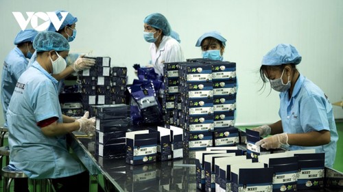 Empresas de Ciudad Ho Chi Minh impulsan las exportaciones en el tiempo pandémico gracias a productos renovados - ảnh 1