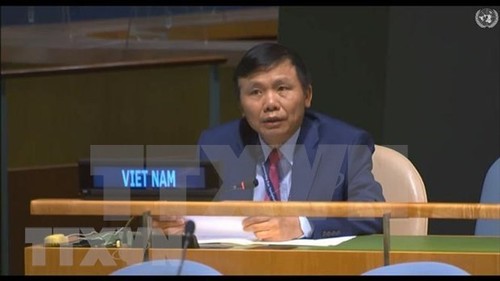Vietnam pide en la ONU levantar las sanciones unilaterales - ảnh 1