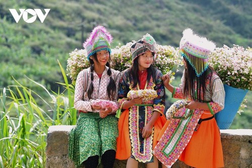 Ha Giang en temporada de flores de alforfón  - ảnh 14