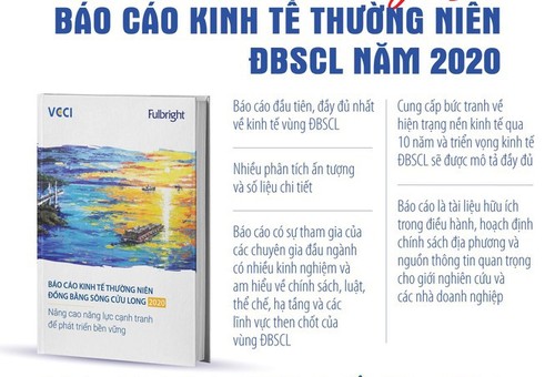 Se publica el informe económico 2020 del Delta del río Mekong - ảnh 1