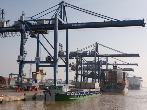 Aumenta la carga transportada a través de puertos vietnamitas en 2020 - ảnh 1