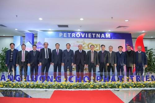 Primer ministro de Vietnam pide promover el papel de Petrovietnam - ảnh 1