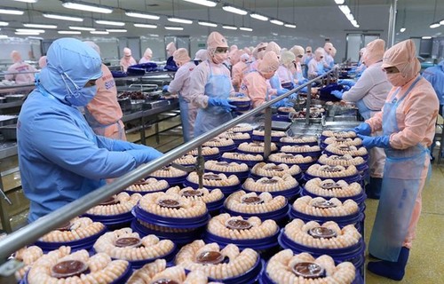 EVFTA promueve exportaciones agrícolas de Vietnam a los Países Bajos - ảnh 1