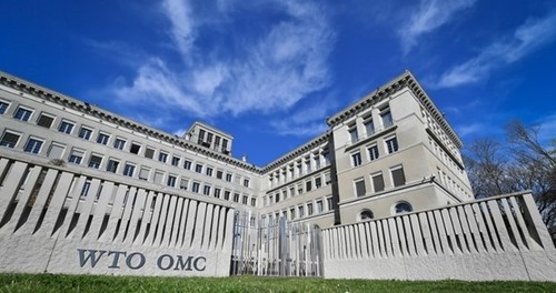 Vietnam aprecia el papel central de la OMC - ảnh 1