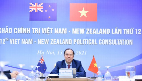 Celebran XII Consulta Política Vietnam-Nueva Zelanda en formato digital - ảnh 1