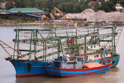 Vietnam despliega de modo experimental el diario electrónico de pesca  - ảnh 1
