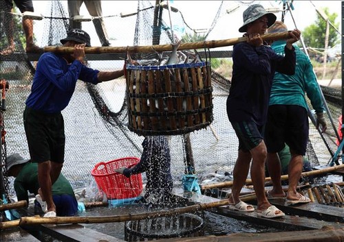 Buena señal de la exportación de productos agrícolas, forestales y pesqueros vietnamitas en 2021 - ảnh 1