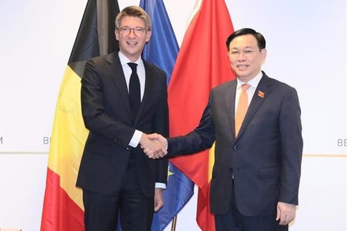 Principales actividades del líder del Legislativo vietnamita en Bélgica - ảnh 1