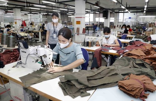 Diálogos sobre la recuperación sostenible de la industria textil y de calzado - ảnh 1