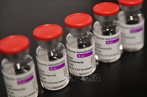 Letonia apoya a Vietnam en adquisición de vacunas anticovid-19   - ảnh 1