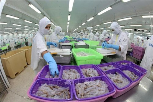 El Banco Mundial evalúa que la economía de Vietnam aún mantiene su impulso de recuperación  - ảnh 1