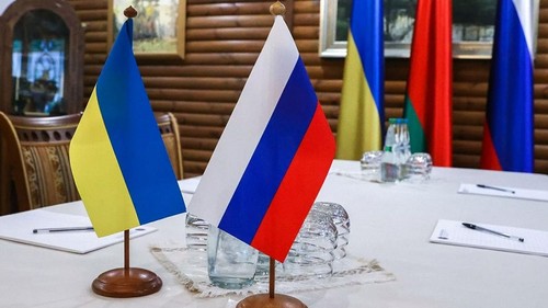 Delegación rusa llega a Turquía para conversar con Ucrania  - ảnh 1