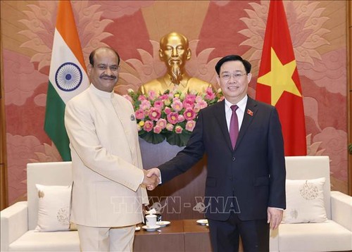 Presidente de la Cámara Baja de la India concluye visita a Vietnam - ảnh 1