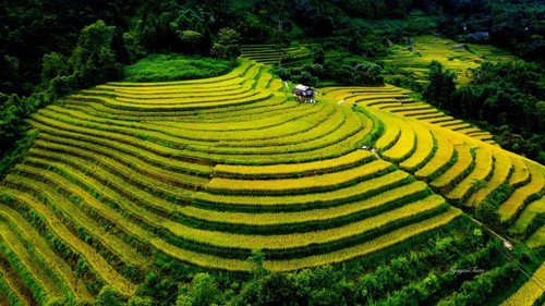 Nam Cang, un paraíso escondido en Sapa - ảnh 7
