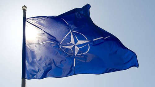 Finlandia decide oficialmente unirse a la OTAN - ảnh 1