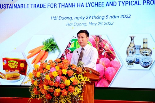 Hai Duong promueve el comercio de lichi de Thanh Ha - ảnh 1