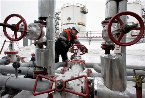 Rusia confirma que seguirá suministrando gas a Serbia - ảnh 1