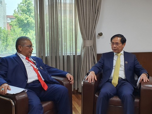 Vietnam cimienta lazos con Indonesia y Brunéi - ảnh 2