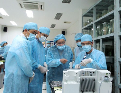 Vietnam acelera la recuperación de la atención médica  - ảnh 1