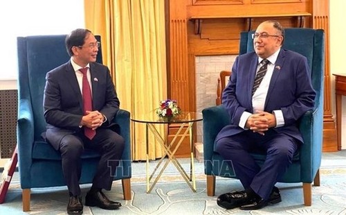 Presidente del Parlamento neozelandés aprecia relaciones con Vietnam - ảnh 1