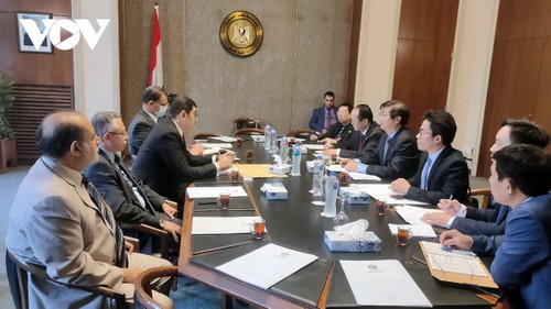 Vietnam y Egipto fortalecen cooperación multifacética - ảnh 1