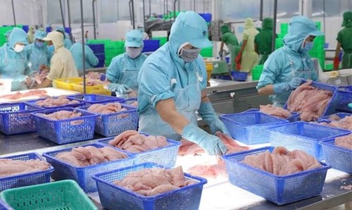 Exportaciones pesqueras de Vietnam aumentan 38 % en nueve meses - ảnh 1