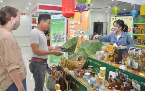 Feria de productos vietnamitas celebrada en Da Nang - ảnh 1