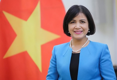Vietnam espera más apoyo de la OIT, según embajadora - ảnh 1