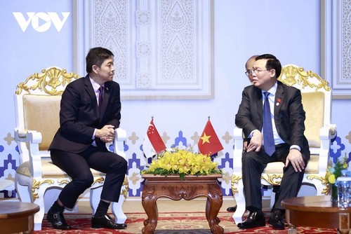Presidente del Parlamento de Vietnam se reúne con homólogos de Singapur y Azerbaiyán - ảnh 1