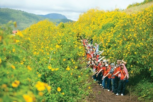 Girasol mexicano en plena floración en el Parque Nacional de Ba Vi - ảnh 10