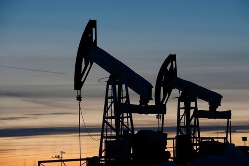 El G7 acordó imponer un precio máximo de 60 dólares por barril al petróleo ruso - ảnh 1