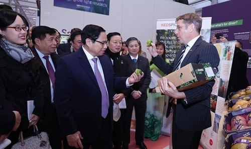 Premier de Vietnam visita centro de innovación agrícola de Países Bajos - ảnh 1