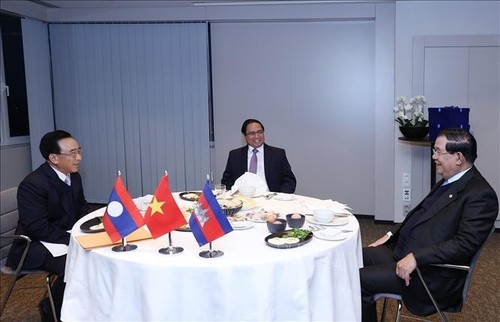 Camboya, Laos y Vietnam fortalecen cooperación tripartita - ảnh 1