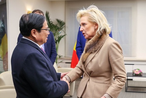 Premier de Vietnam sostiene encuentros con dirigentes belgas - ảnh 1