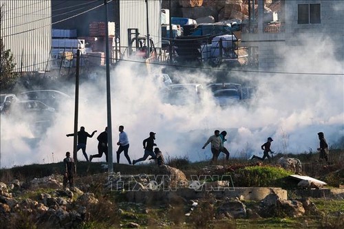Cerca de 30 víctimas palestinas en enfrentamientos con tropas israelíes en Cisjordania - ảnh 1