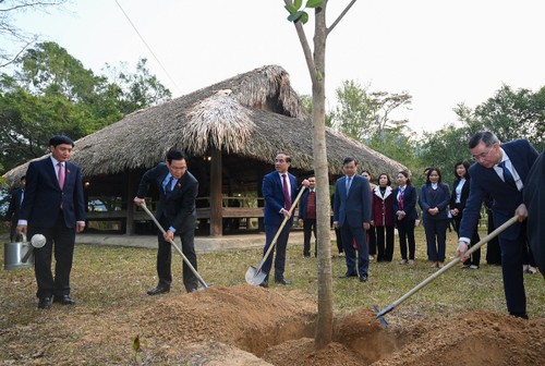 Presidente de la Asamblea Nacional asiste al Festival de plantación de árboles en Tuyen Quang - ảnh 2