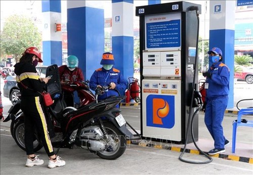 Vietnam reajusta precios de gasolina de acuerdo con la situación mundial - ảnh 1