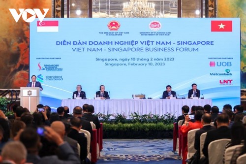 Primer ministro asiste al Foro empresarial Vietnam-Singapur - ảnh 1