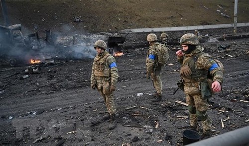Estados Unidos y Noruega impulsan ayuda a Ucrania - ảnh 1