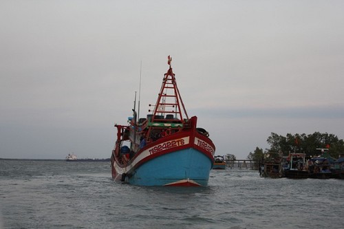 Vietnam arrecia medidas para acabar con la pesca ilegal en aguas extranjeras - ảnh 1