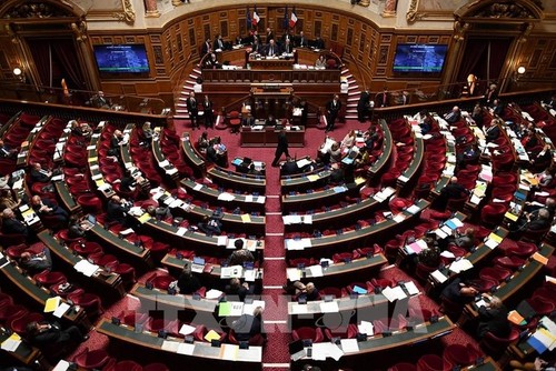 Senado francés aprueba controvertido proyecto de ley sobre reforma de pensiones - ảnh 1