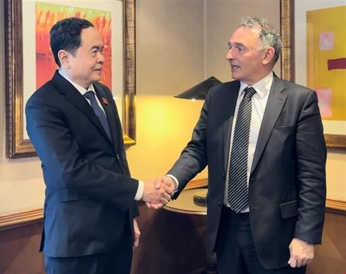 Vicepresidente de Asamblea Nacional de Vietnam visita España - ảnh 1