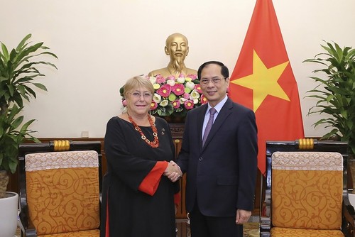 Jefe de la diplomacia vietnamita recibe a expresidenta chilena Michelle Bachelet - ảnh 1