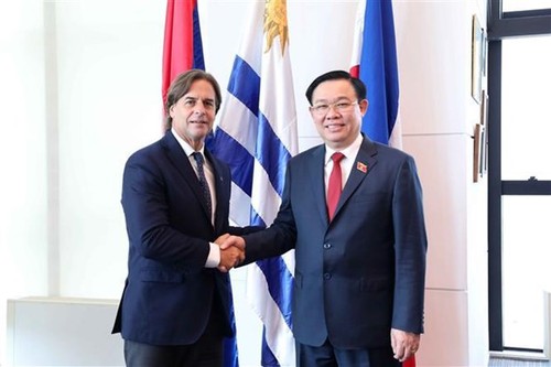 Máximo líder del Parlamento vietnamita se reúne con presidente uruguayo - ảnh 1