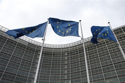 Países de la Unión Europea piden reformar proceso de toma de decisiones sobre diplomacia y defensa - ảnh 1