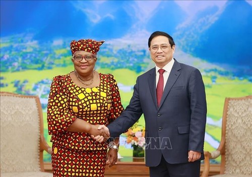Vietnam seguirá contribuyendo al desarrollo de la OMC, afirma Primer Ministro - ảnh 1