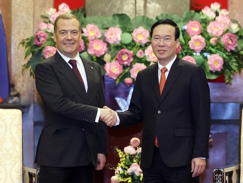 Vietnam es uno de los socios importantes de Rusia - ảnh 1