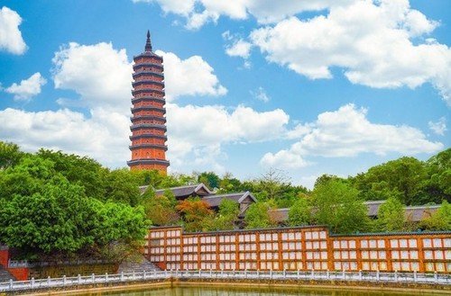Impresionantes imágenes de la Pagoda Bai Dinh  - ảnh 4