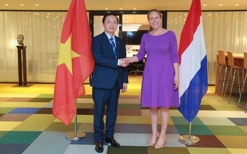 Vice premier de Vietnam se reúne con su par neerlandesa - ảnh 1